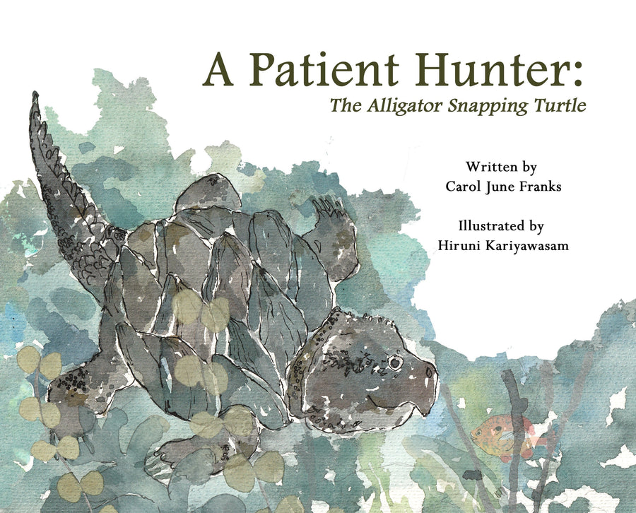 Introducing A Patient Hunter