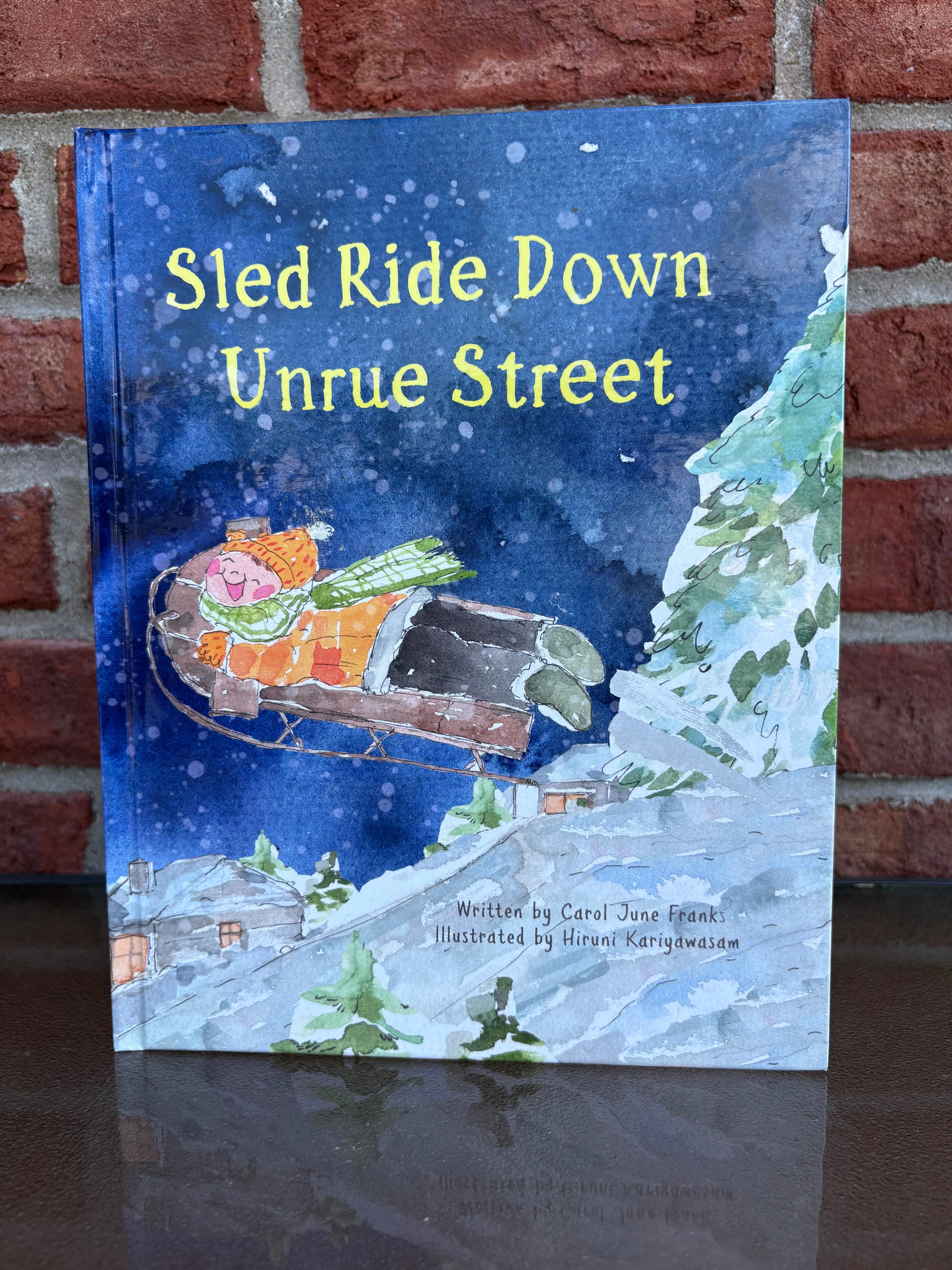 Sled Ride Down Unrue Street