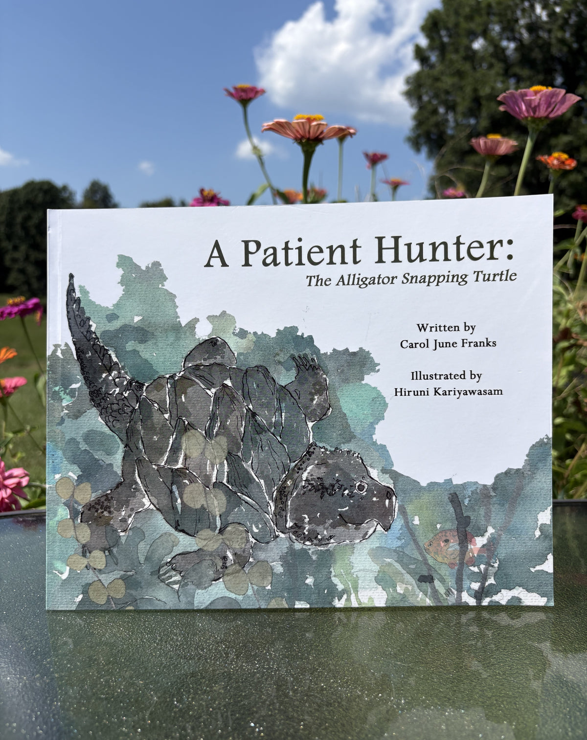 A Patient Hunter: The Alligator Snapping Turtle HARDCOVER