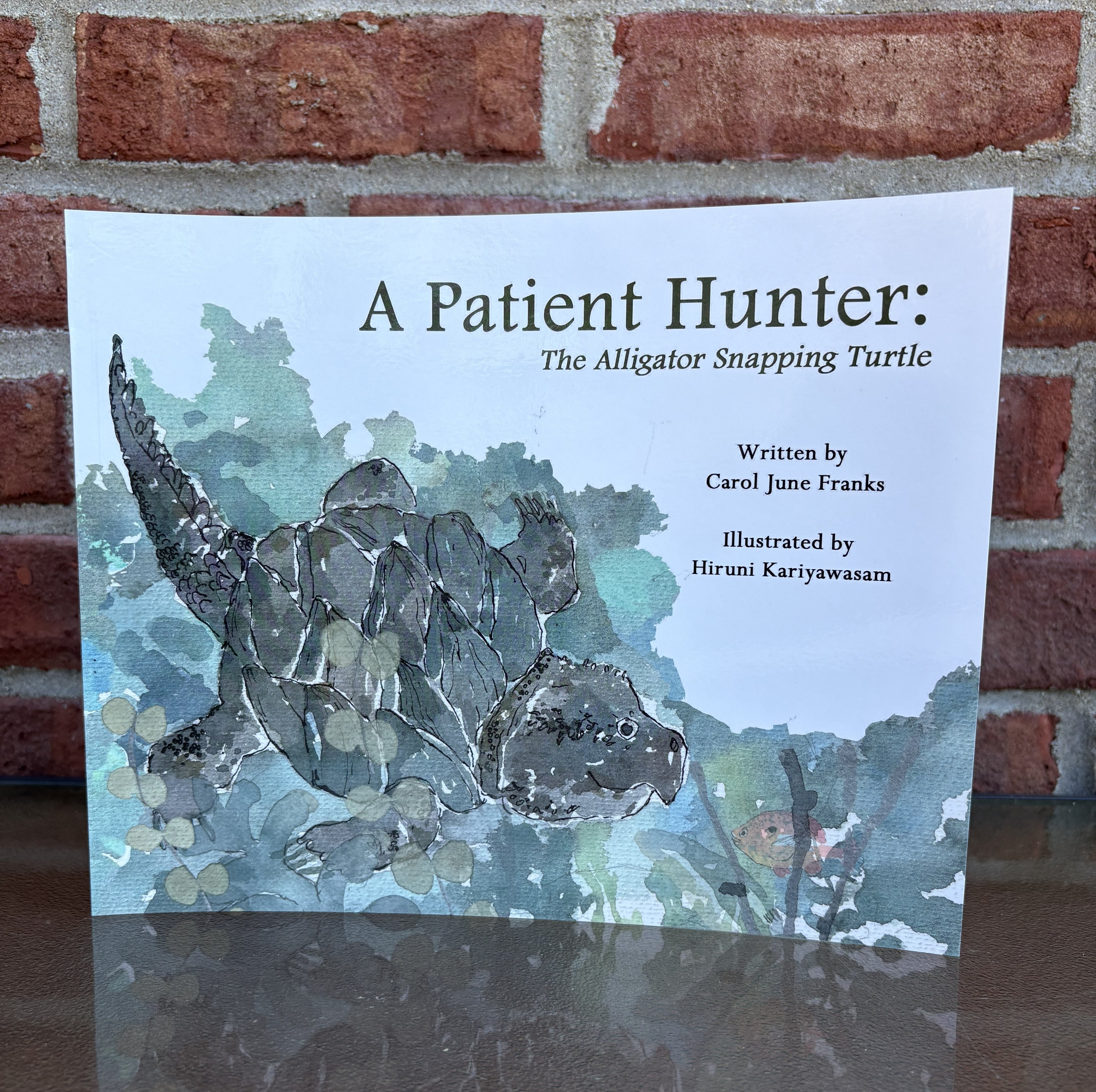 A Patient Hunter: The Alligator Snapping Turtle PAPERBACK